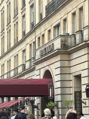 IMG_5931.jpeg